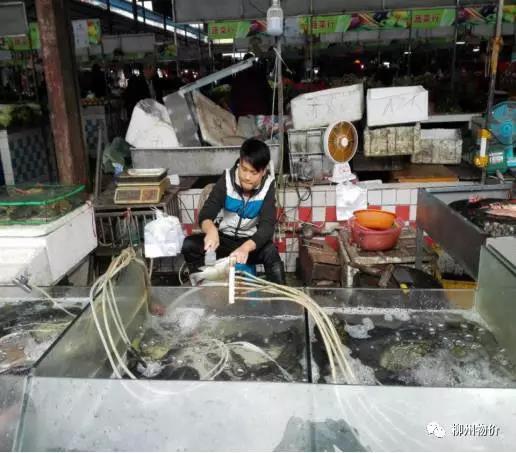 市场名称: 万商双拥农贸市场