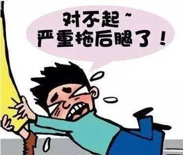 下肢神经支配区域图片_柳州人均可支配收入