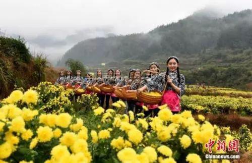 “最中国美乡村”江西省婺源县。胡敦煌 摄
