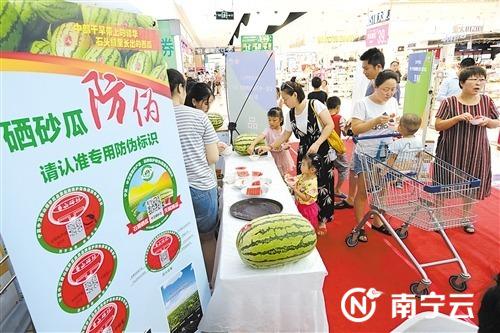 在宁夏·中卫香山硒砂瓜南宁推介会现场 ,市民正在品尝美味的西瓜。记者 宋延康 摄