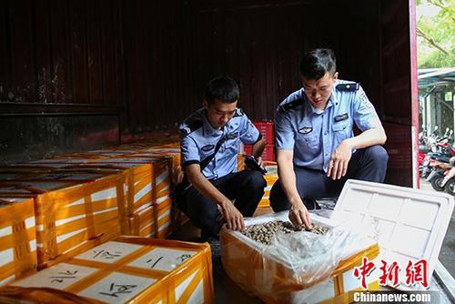 图为检查扣押海产品。 王淑艳 摄