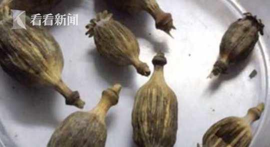 最后,铁路警方对黄某处以400元的行政罚款,同时收缴了8枚罂粟壳。
