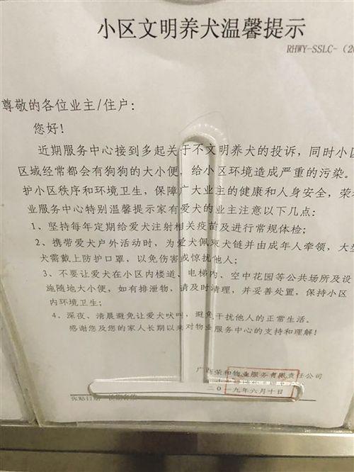 明秀路一小区物业在楼道贴出小区文明养犬温馨提示