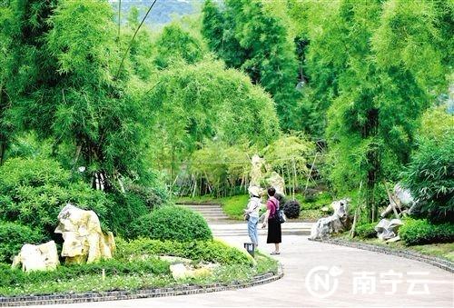 青秀山新东区竹园。