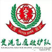 鹰简介