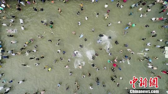航拍苗族民众和游客在“闹鱼”活动中抓鱼。 谭凯兴 摄