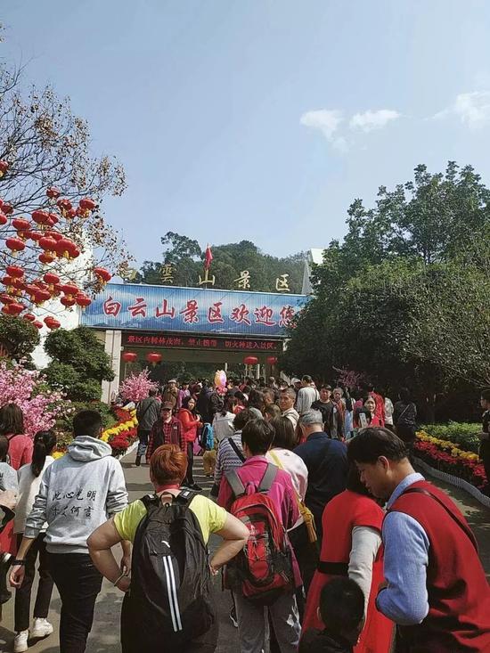 大年初一白云山就开启了人从众模式。