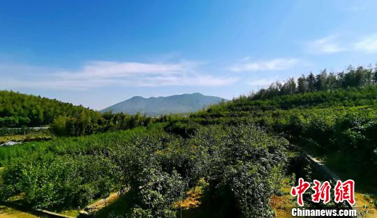 图为小米果园。 受访者提供 摄