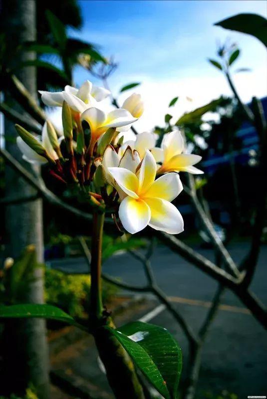 2345_image_file_copy_7_副本.jpg