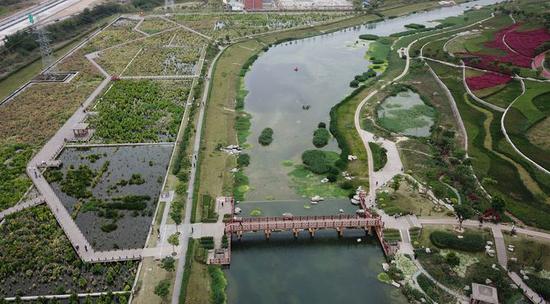 ↑这是正在建设中的南宁市那考河湿地公园(4月7日无人机拍摄)。