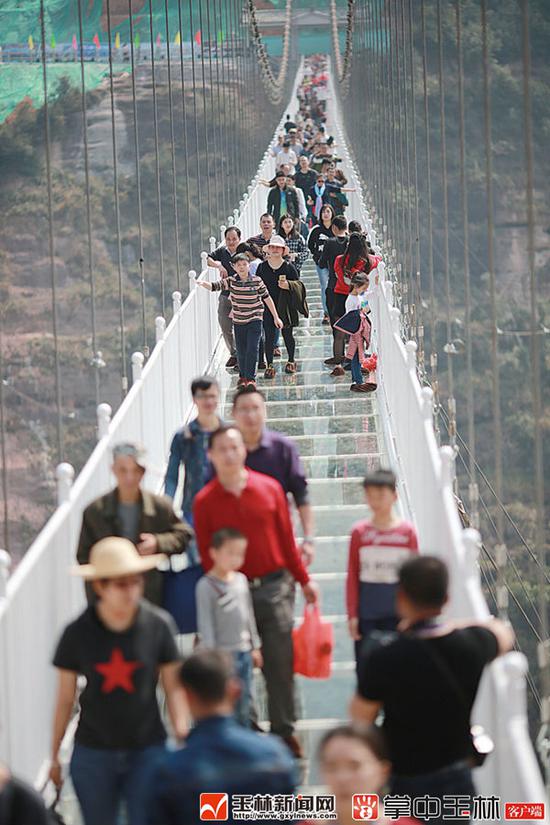 科学定位 项目支撑 五彩玉林展新姿