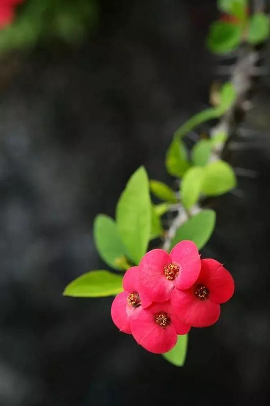 2345_image_file_copy_5.jpg