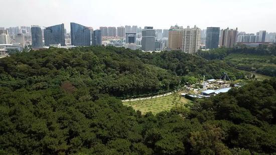 ↑这是南宁市的茂密森林(5月23日无人机拍摄)。
