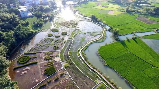 柳州螺蛳粉排行_柳州螺蛳粉制作技艺等上榜第五批国家级非遗代表性项目名录公布18...