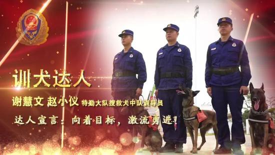 训犬达人