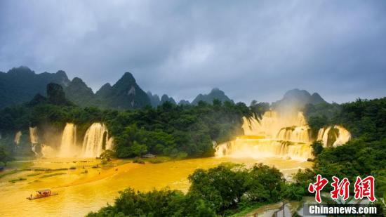 广西德天瀑布呈现“黄金瀑布”景观。