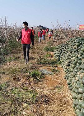 ����װ���ֳ���