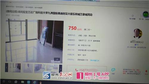 图为中介公司在网上发出来的租房信息。.jpg 图为中介公司在网上发出来的租房信息