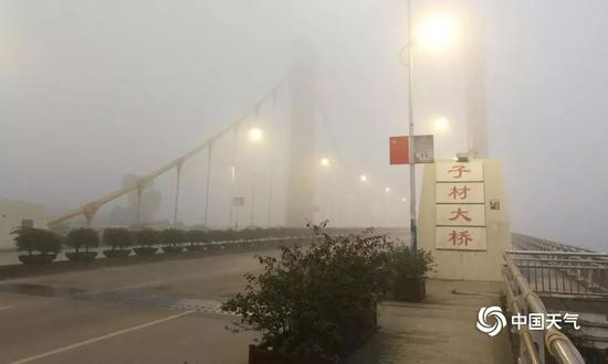 图为大年初一的清晨,大雾笼罩下的钦州子材大桥。