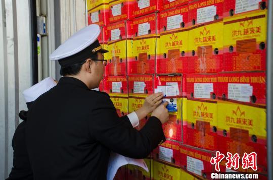 海关人员对进口水果进行查验。 翟李强 摄