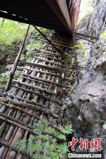 断崖木梯求学路已成历史,虽然后来当地政府用钢板又修了一座梯子,但现在也废弃了。 蒋雪林 摄