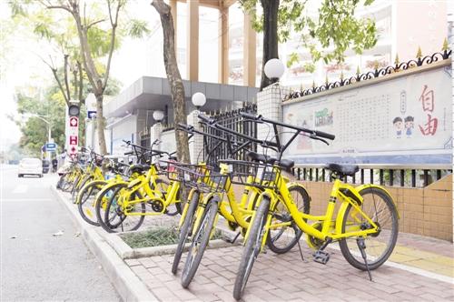 共享单车有便利也产生问题 委员呼吁出台监管