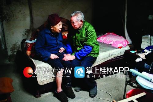 桂林日报记者刘教清 通讯员唐海燕 文/摄