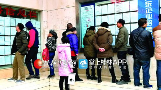 不少求职者在市人力资源市场招聘信息栏前浏览招聘信息。