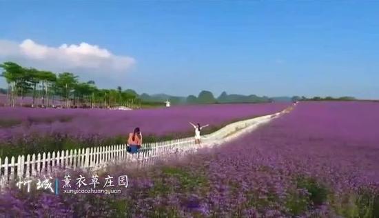 莲塘婚纱摄影_莲塘摄影(3)