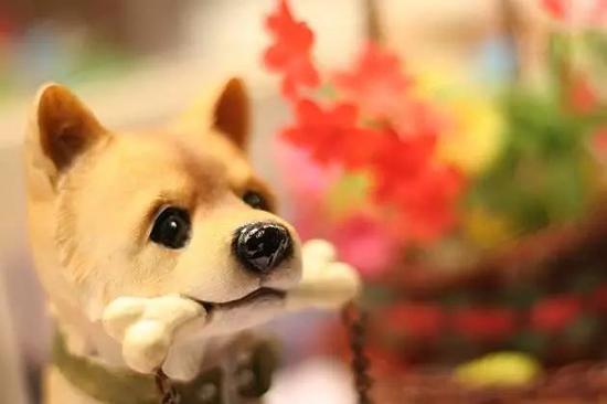 网络图片