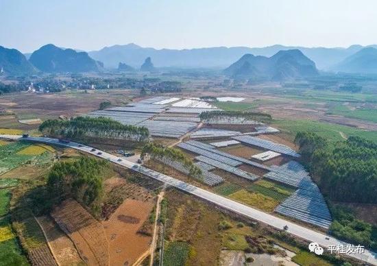 贺州平桂区举办龙头企业乡村振兴产业扶持基金