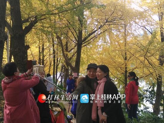 所以,明后两天周末,可以约上一两好友,去赴一场银杏之约吧。