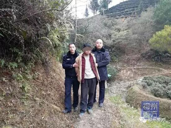 民警在牛棚里抓获了犯罪嫌疑人杨某山