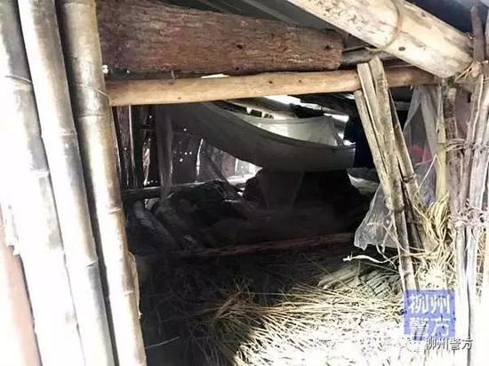 杨某山在牛棚里搭了个简陋的床