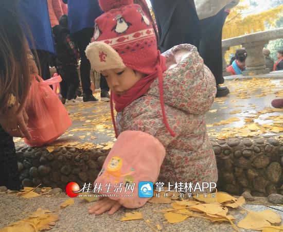 连孩子们也陶醉在迷人的金黄童话里,玩着落叶开心得不行。
