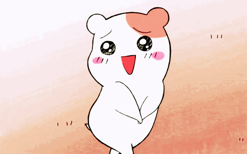 5936546700430.gif