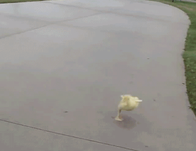 雷人
