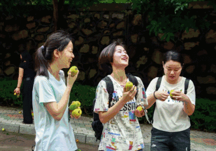 免费派发的新鲜芒果