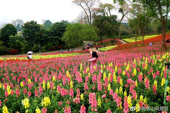 Via:@青秀山风景区