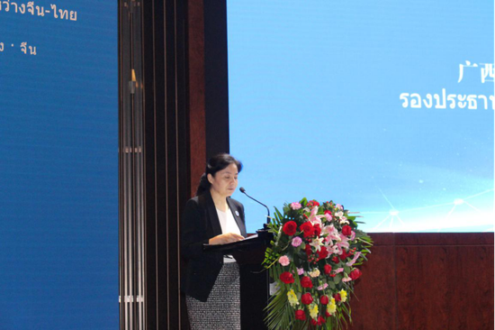 广西壮族自治区人民政府副主席丁向群发表讲话 苏世钰/摄