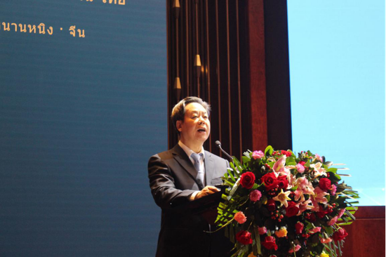 崇左市委书记、市人大常委会主任刘有明发表演讲 苏世钰/摄