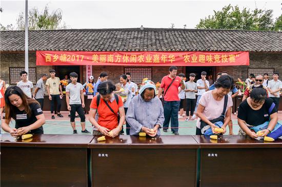 西乡塘区美丽南方手剥玉米比赛