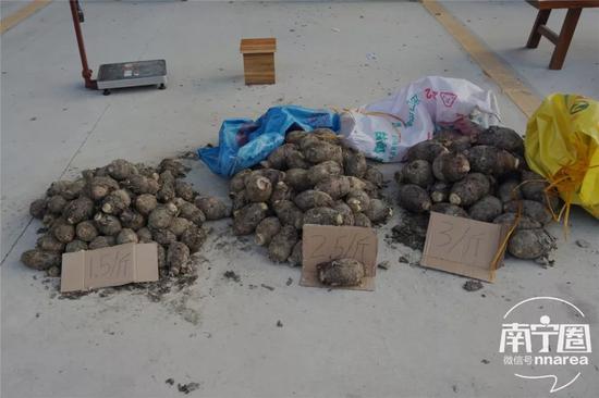 花灯、年货、美食！南宁东站农批 一站式让你配齐了