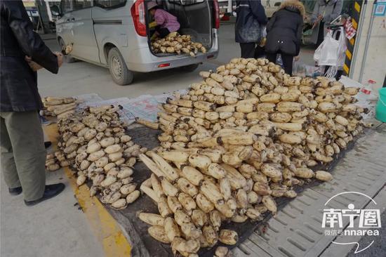 花灯、年货、美食！南宁东站农批 一站式让你配齐了