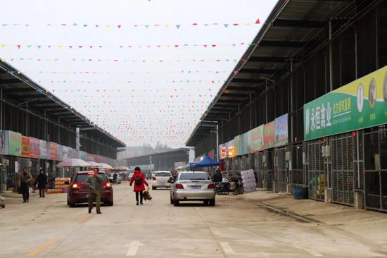 花灯、年货、美食！南宁东站农批 一站式让你配齐了