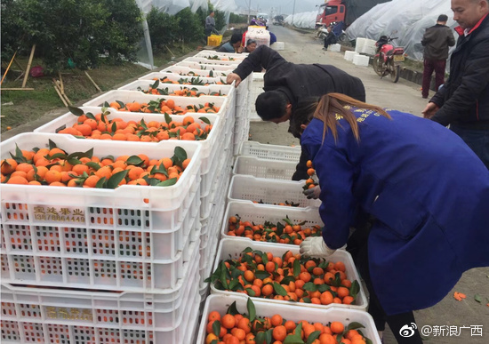 2018#壮族三月三电商节#将于4月12日在桂林