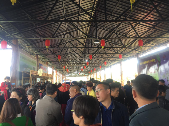 活动现场图