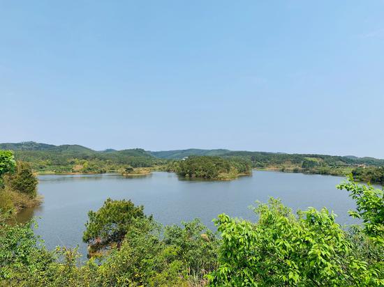 花雨湖湖水风貌 苏醒/摄