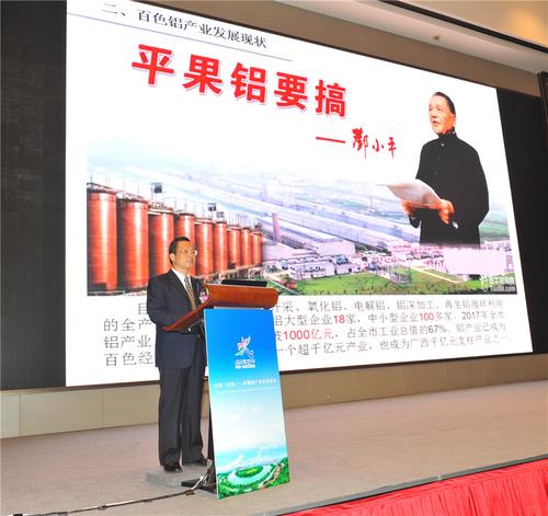 图为百色市领导石国怀在中国(百色)—东盟铝产业发展论坛上作推介。