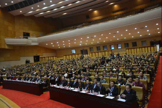 峰会共持续两天,得到多家国内外主流华人媒体的关注.